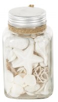 6" White Seashells in a Glass Jar