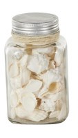 6" White Seashells in a Glass Jar