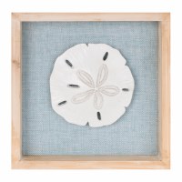 8" Sq White Sand Dollar on a Blue Background Coastal Framed Wall Art