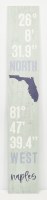 46" x 8" Naples Latitude and Longitude Coastal Poarch Board