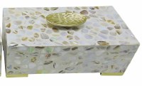 12" Mother of Pearl Box With a Gold Knob