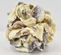 4" Oyster Shell Orb
