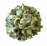 5" Oyster Shell Orb