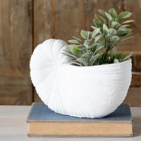 8" White Cement Nautilus Shell Pot