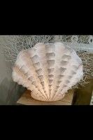 17" White Polyresin Scallop Shell Upright Coastal Table Lamp