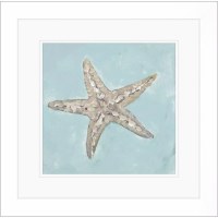 19" Sq Taupe Starfish on a Turquoise Background Framed Coastal Print Under Glass