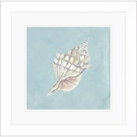 19" Sq Taupe Whelk Shell on a Turquoise Background Framed Coastal Print Under Glass