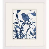 16" x 14" Blue Bird on the The Top Branch Framed Print Under Glass