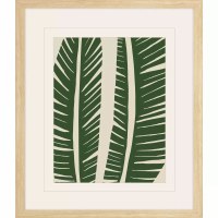 24" x 20" Two Green Leaves on a White Background Framed Tropical Print Under Glass