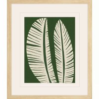 24" x 20" Two White Leaves on a Green Background Framed Tropical Print Under Glass