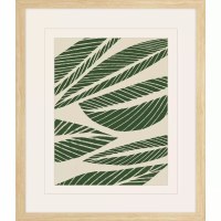 24" x 20" Six Green Leaves on a White Background Framed Tropical Print Under Glass