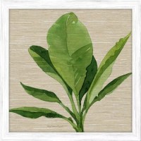 26" x 26" Tropical Leaves Framed Print Under Glass