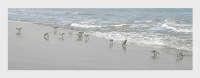 20" x 52" Sandpiper Flock on the Beach Coastal Gel Textured Print in a White Frame