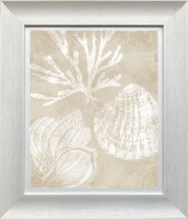 28" x 24" White and Beige Seashells 1 Gel Textured Coastal Print in a Distressed White Frame