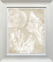 28" x 24" White and Beige Seashells 2 Gel Textured Coastal Framed Print