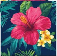 Red Hibiscus Beverage Napkins