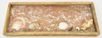 "Sanibel Island" Rectangle Wood Tray With Sea Shells
