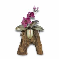 13" x 8" Small Purple Phalaenopsis Orchid With Gamal Wood Coastal Wall Art Plaque MM936