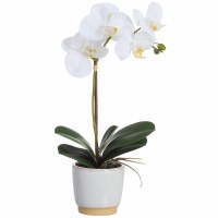 19" Faux White Phalaenopsis Orchid in a White Ceramic Pot