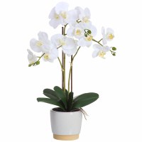 23" Faux Three White Phalaenopsis Orchids in a White Ceramic Pot