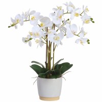 26" Five Faux White Phalaenopsis Orchids in a White Ceramic Pot