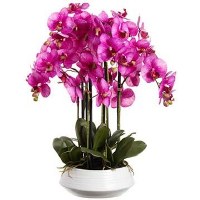 25" Six Faux Purple Orchids in a White Cement Pot