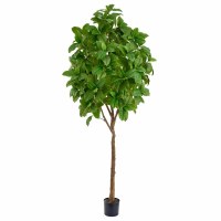 8' Faux Green Ficus Elastica Tree in a Black Plastic Pot