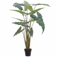 5.3' Faux Green Alocasia Tree in a Black Plastic Pot