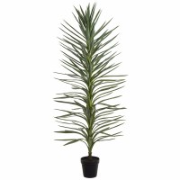 6' Faux Green Dracaena Tree in a Black Plastic Pot