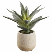 9" Faux Green and Gray Agave Plant in a White Plastic Pot