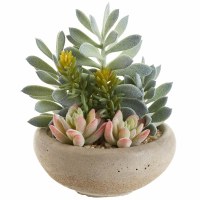 8" Faux Green and Coral Succulent Mix in a Cement Bowl