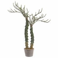 27" Faux Green Antler Cactus in a Gray Paper Mache Pot