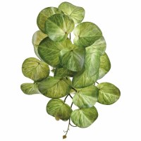 11" Faux Green Stephania Erecta Leaf Bush