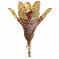 12" Faux Green and Burgundy Bromeliad Plant