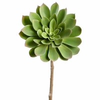 21" Faux Green Giant Aeonium Pick