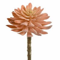 6" Faux Coral Aeonium Pick