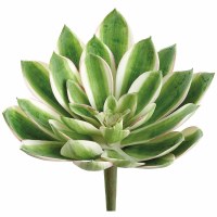 8" Faux Green and White Aeonium Pick