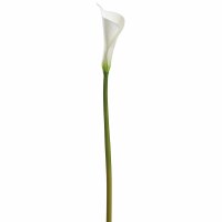 25" Faux White Calla Lily Bud Stem