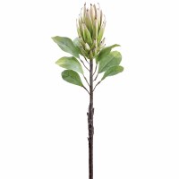 29" Faux Cream and Green Protea Stem