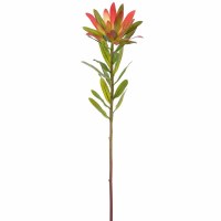 23" Faux Red and Green Protea Spray