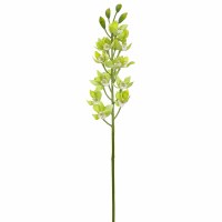 39" Faux Green Dendrobium Spray