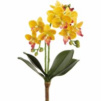 16" Faux Yellow Phalaenopsis Orchid Plant