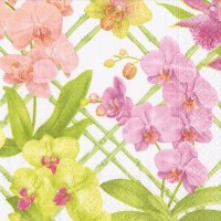 5" Square Orchid Conservatory Beverage Napkins