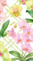 8" x 5" Orchid Conservatory Guest Towels