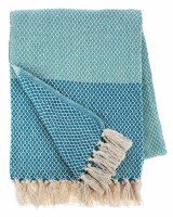 60" x 50" Aqua and Blue Border Throw Blanket