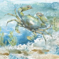 5" Sq Undersea Crab Beverage Napkins