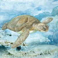 5" Sq Undersea Turtle Beverage Napkins