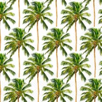 5" Sq Palm Trees Beverage Napkins