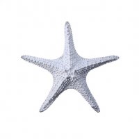 12" White Polyresin Starfish Figurine