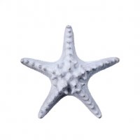 6" White Polyresin Starfish Figurine